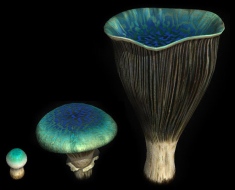File:Rivenese glowing mushroom.jpg