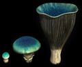 Rivenese glowing mushroom.jpg