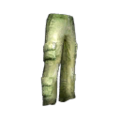 Cargo pants.png