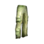 Cargo pants.png