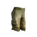 Cargo shorts.png