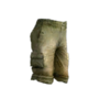 Cargo shorts.png